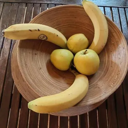 студио албена Apartment