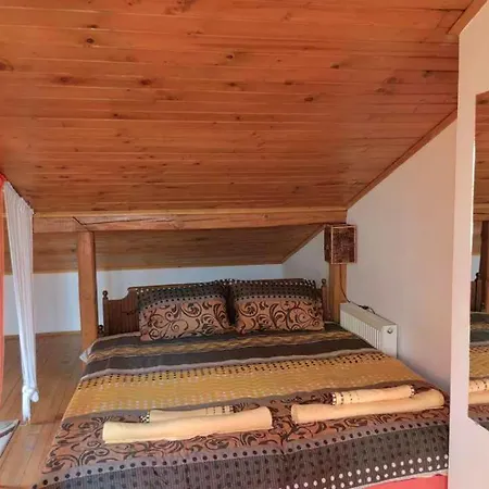 студио албена Apartament